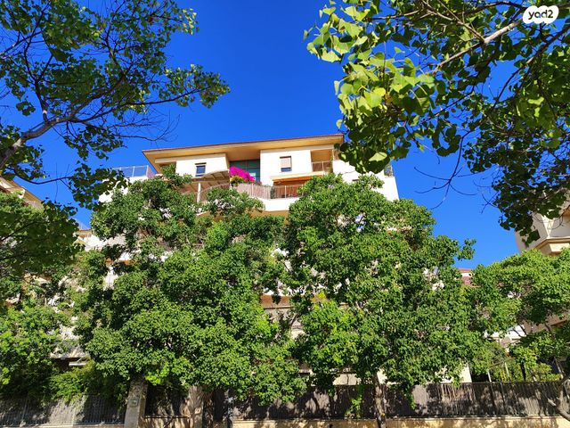 דירה, זכרון יעקב