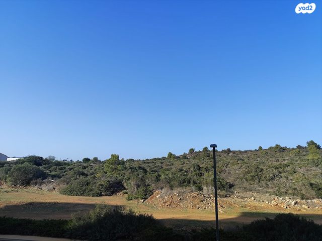 דירה, זכרון יעקב