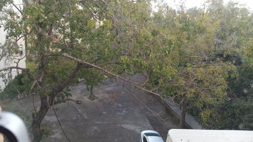 דירה, קרית ביאליק