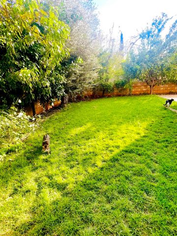 דירת גן, קדימה צורן