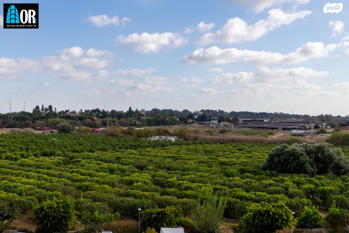 דירה, חזון אי"ש, רחובות הצעירה, רחובות
