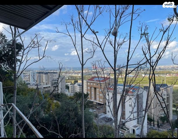 דירה, התשעה 23, נווה יוסף, חיפה