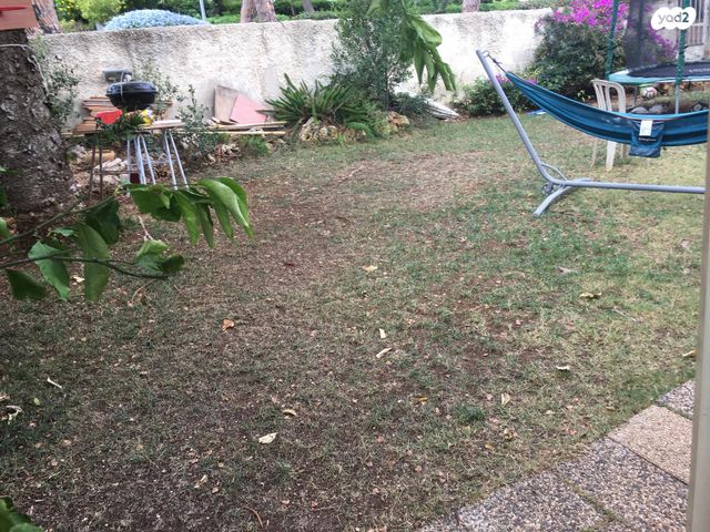 דירת גן, ארתור הנטקה, אחוזה, חיפה