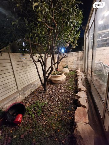 שמואל יפה ארמוזה 