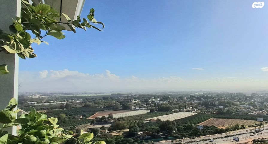 דירה, טווס 3, רמות מנחם, הוד השרון