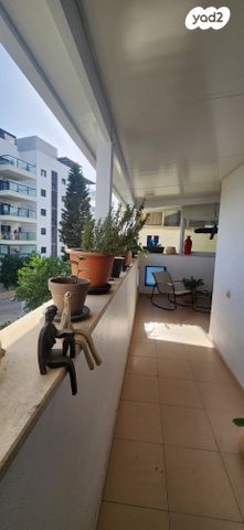 דירה, צאלה, גדרה הצעירה, גדרה