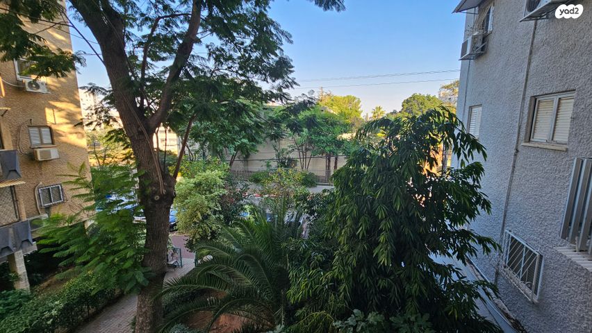 דירה, הרב יהודה צבי מלצר, א' / צפון מזרח העיר, רחובות