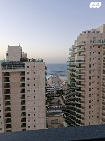 דירה, אשקלון