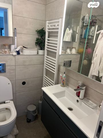 ראול ולנברג 65