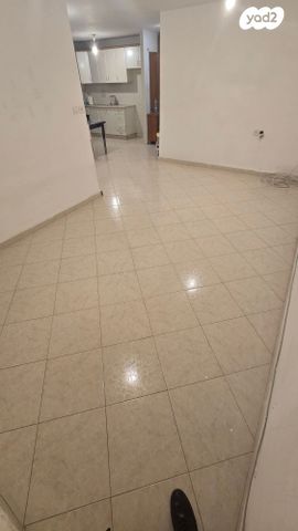 דירה, דוד אלעזר, רמלה