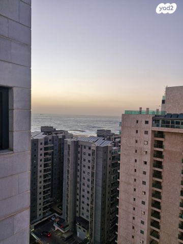 דירה, אשקלון