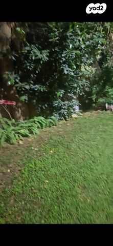 מרדכי רומנו 