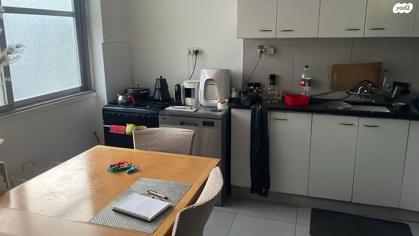 דירה, הערבה, ג'סי כהן, חולון