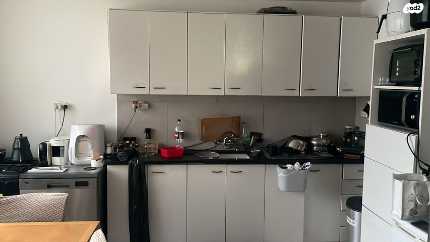 דירה, הערבה, ג'סי כהן, חולון