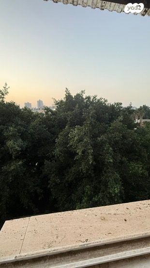 דירה, אשדוד