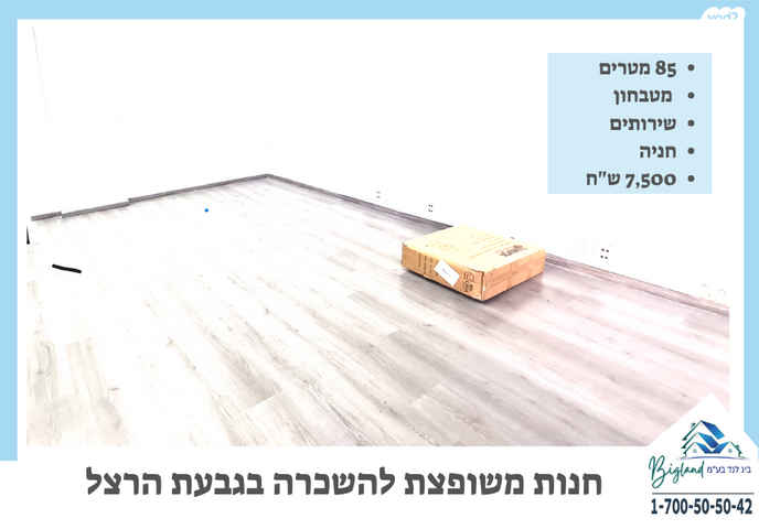 גבעת הרצל, אזור המלאכה יפו