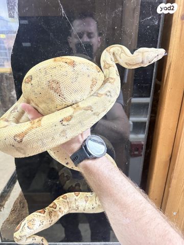 תמונת מודעה - חיות מחמד