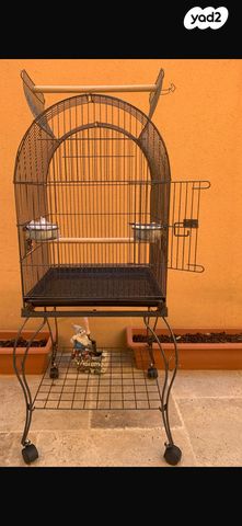 תמונת מודעה - חיות מחמד