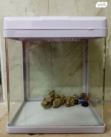 תמונת מודעה - חיות מחמד