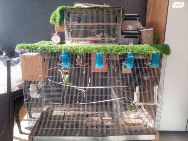 תמונת מודעה - חיות מחמד