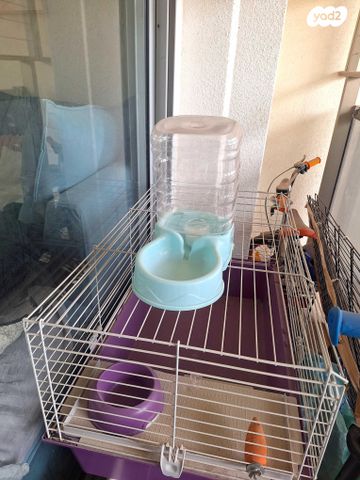 תמונת מודעה - חיות מחמד