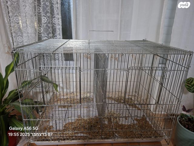 תמונת מודעה - חיות מחמד