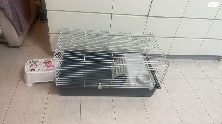 תמונת מודעה - חיות מחמד