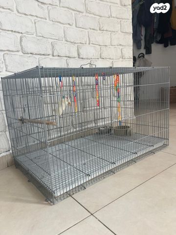 תמונת מודעה - חיות מחמד