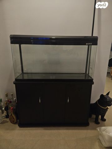 תמונת מודעה - חיות מחמד