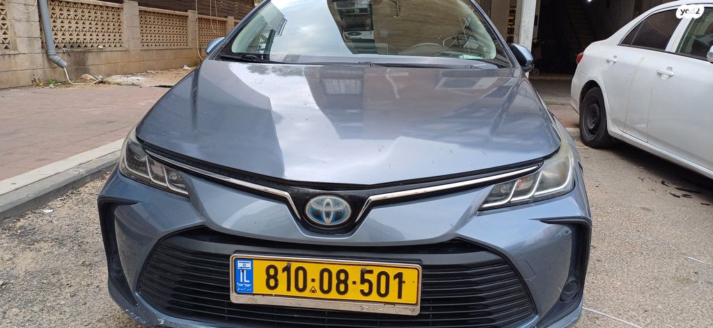 טויוטה קורולה