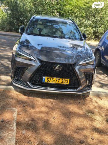 לקסוס NX