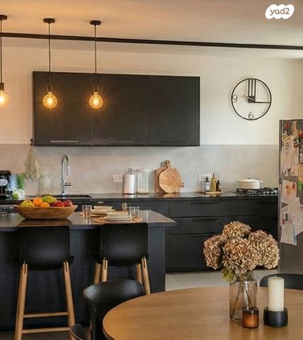 אריה שנקר 18