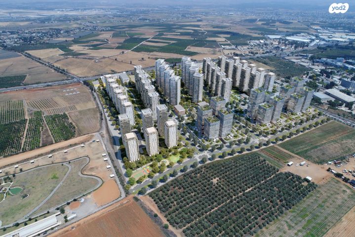 יעקב פריימן 6