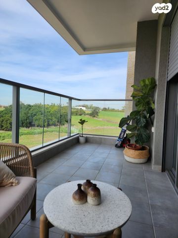 שיר השירים 29