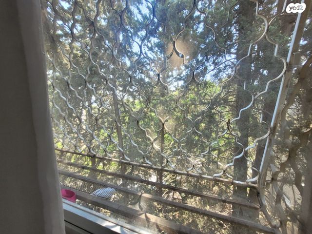 דירה, הגליל 20, המיסדים, כרמיאל