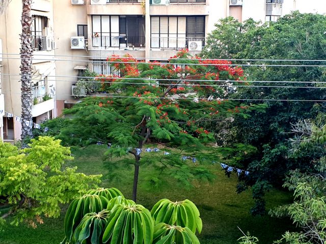 דירה, תל אביב 10, מרכז מערבי, נס ציונה