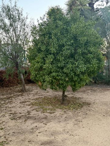 משק חקלאי/ נחלה, השקד 1, שדה צבי, שדה צבי