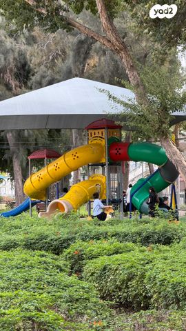 קיבוץ גלויות 11