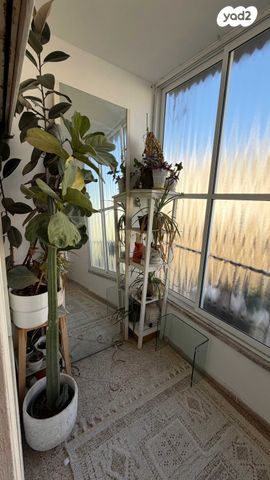 דירה, הרב הרצוג 1, לב העיר, בת ים