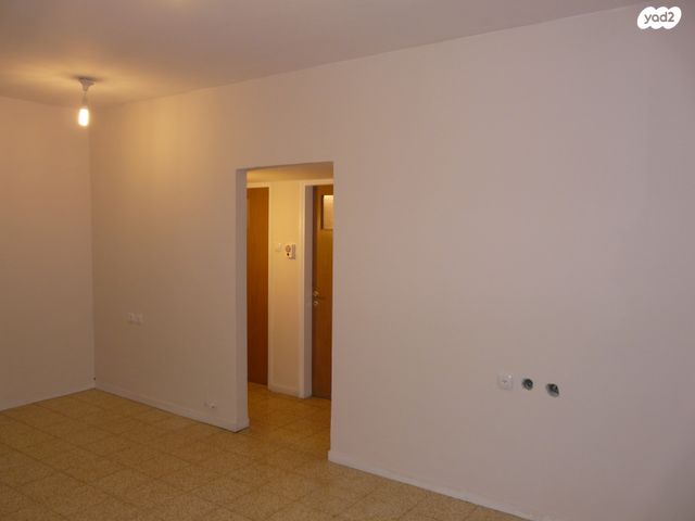 אריה רובין 17