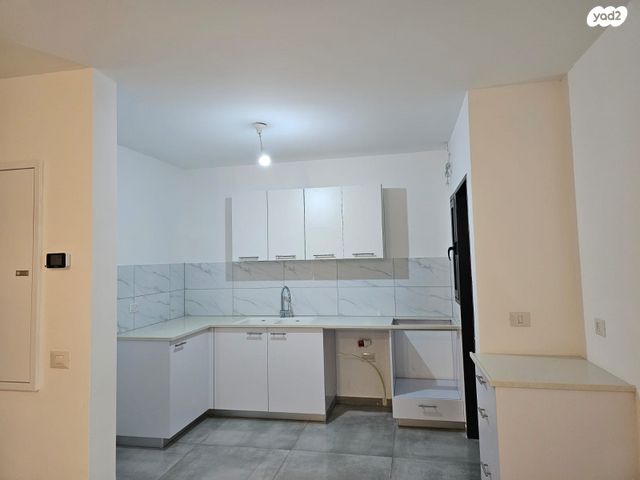 רועי קליין 31