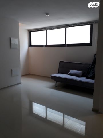 אלתר דוד הכהן 1