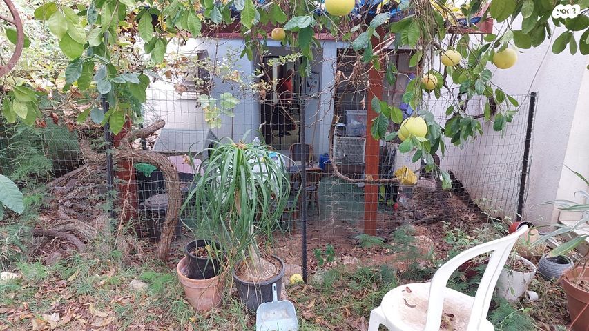 דירת גן, המעפילים 15, שכונת ותיקים, אבן יהודה