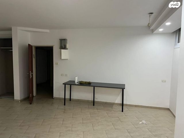 יהושע ייבין 11