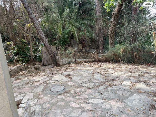 דירת גן, דרך בריכות היער 111, בית זית, בית זית