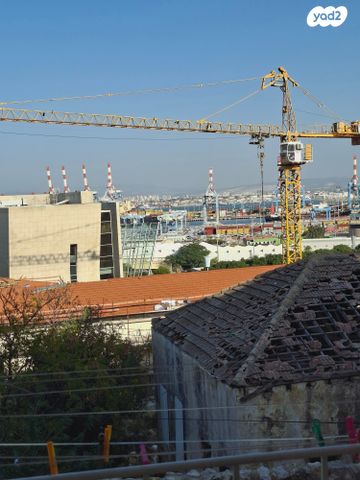 דירת גן, העיר התחתית, ואדי סאליב, חיפה