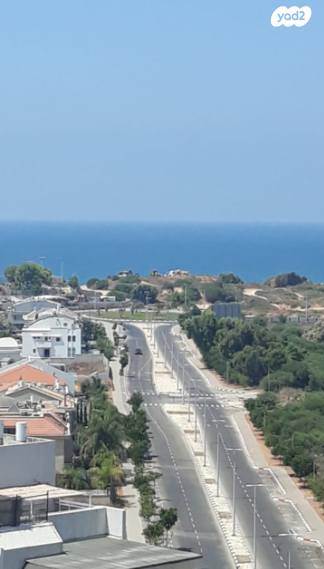 דירה, חיל האוויר, נווה חוף, ראשון לציון