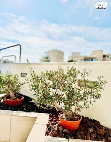 גג/ פנטהאוז, שמעון רייך, נהריה