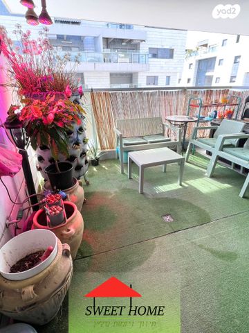 דירה, שרונה, כפר יונה