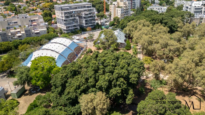 דירה, אמיל בריג 8, הדר יוסף, תל אביב יפו